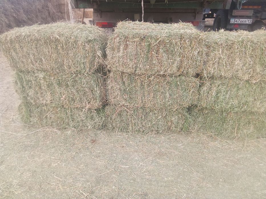 Жоңышқа бар.Доставка бар келісеміз