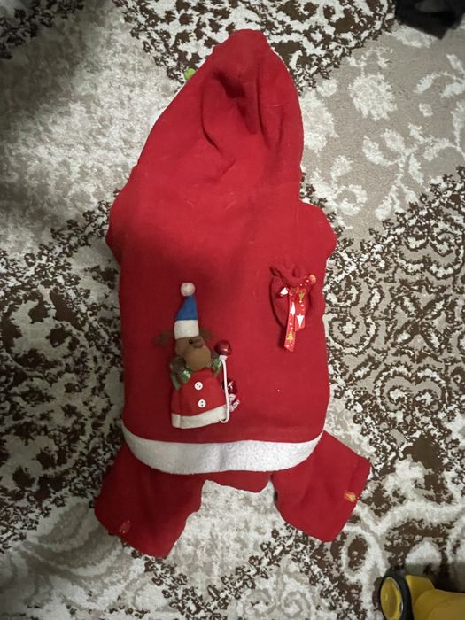 Одежда для собаки мопс