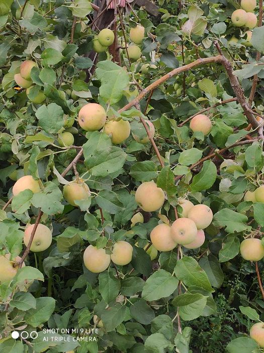 дача на федоровском водохранилище