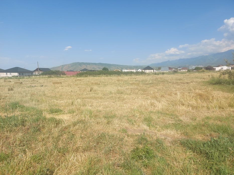 Сено продам сено