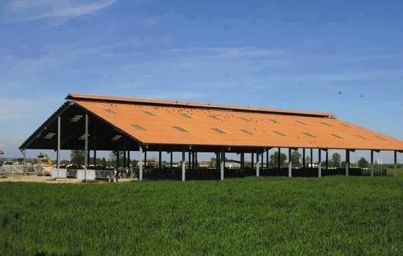 Vindem plăci ondulate fibrociment ecologic acoperiș