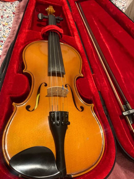 Vioara 4/4, Reghin - Model Profesional I (an 1991) + arcus + cutie