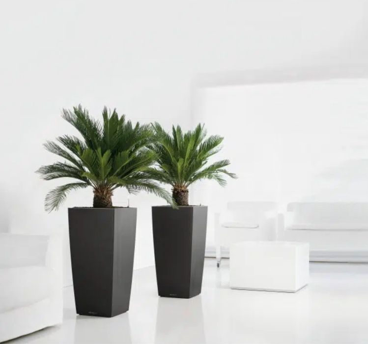 Ghiveci auto-irigant Lechuza Cubico 40