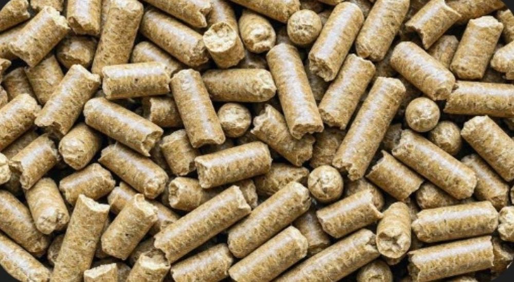 Sifatli va ozuqa bob mayda va yirik shoxli chorva uchun yem xizmatlari