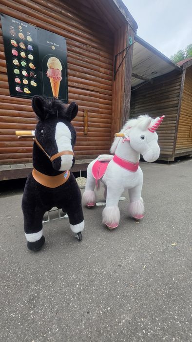 Vand căluț ponycycle