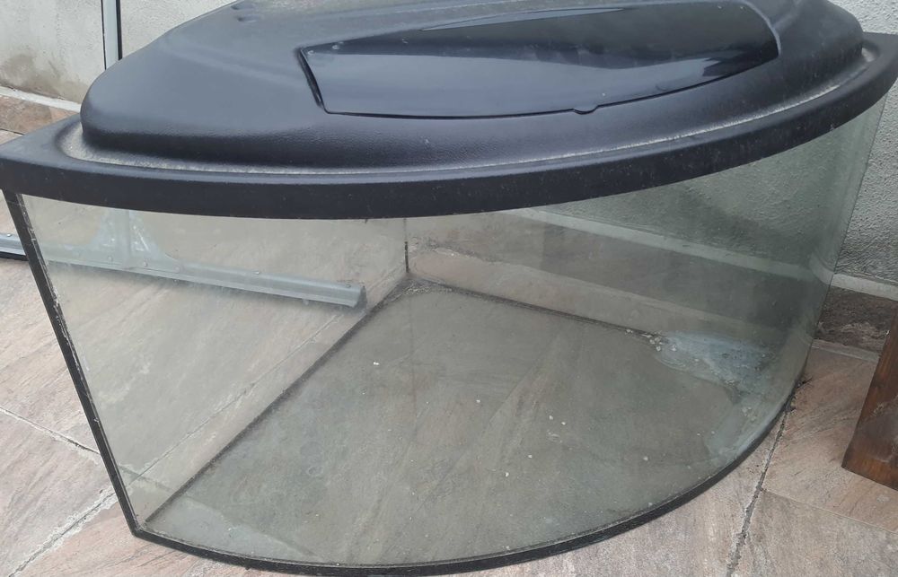 Acvariu pesti de colt