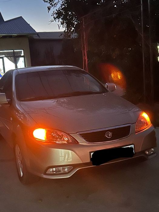 Гентра 2015 автомат красками родной  холати идеал