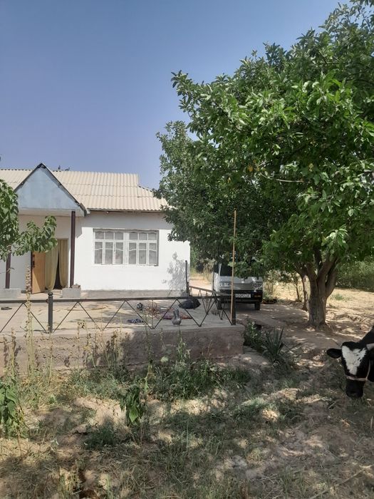 Uy bog' qishloq xovlisi