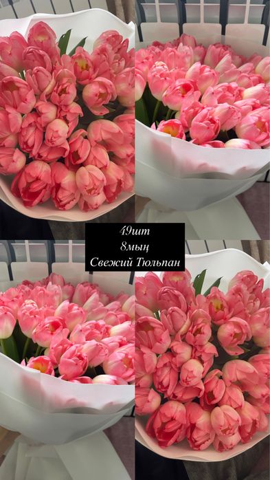 Свежий Тюльпандар