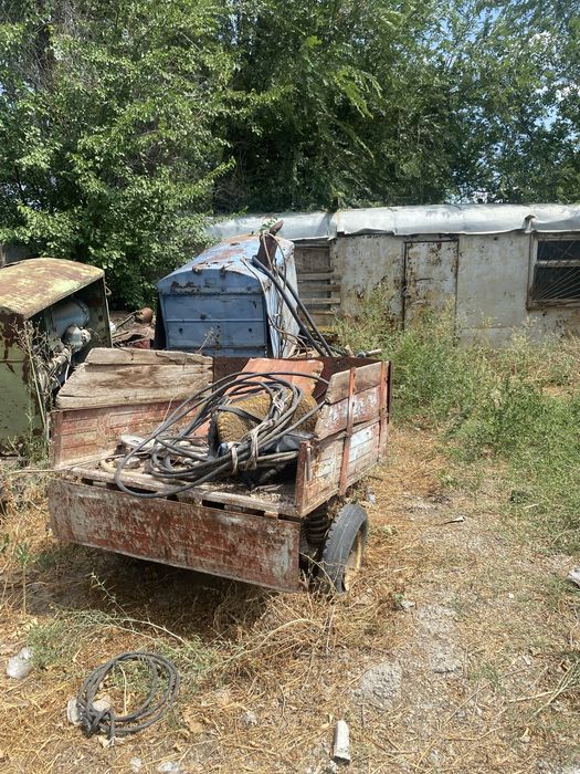 Муравейник продажа