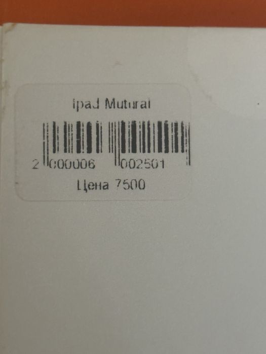 Чехол на Ipad Pro 11 (M4)