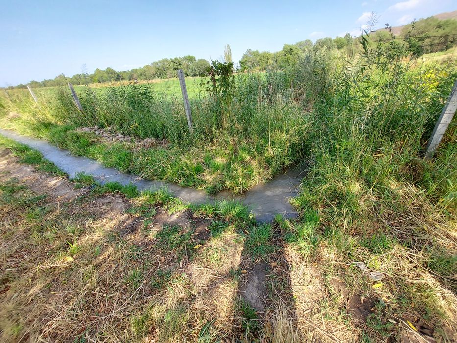 Сдается в аренду 2.2 га участок