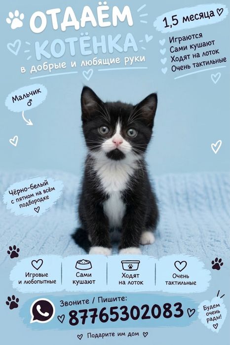 Котенок 1.5 месяца