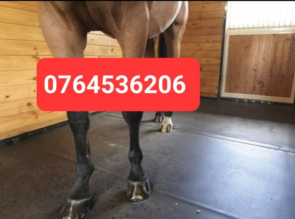 Vând banda de cauciuc preș covor pentru