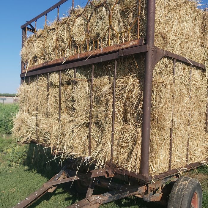 Сено разнотравье для коров быков баранов