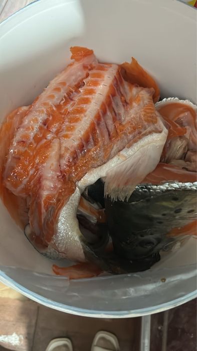 Суп набор семги.