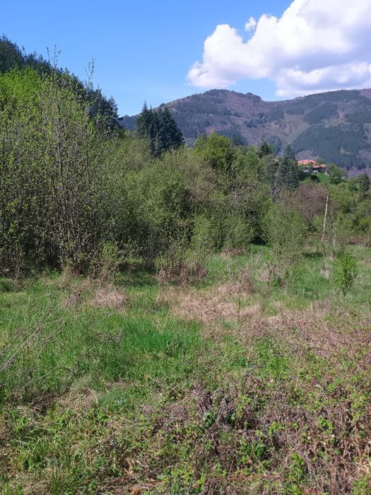 Продава се Къща в с. Луково, Област София-област - 24 кв.м за 625 €/кв.м - Снимка #19