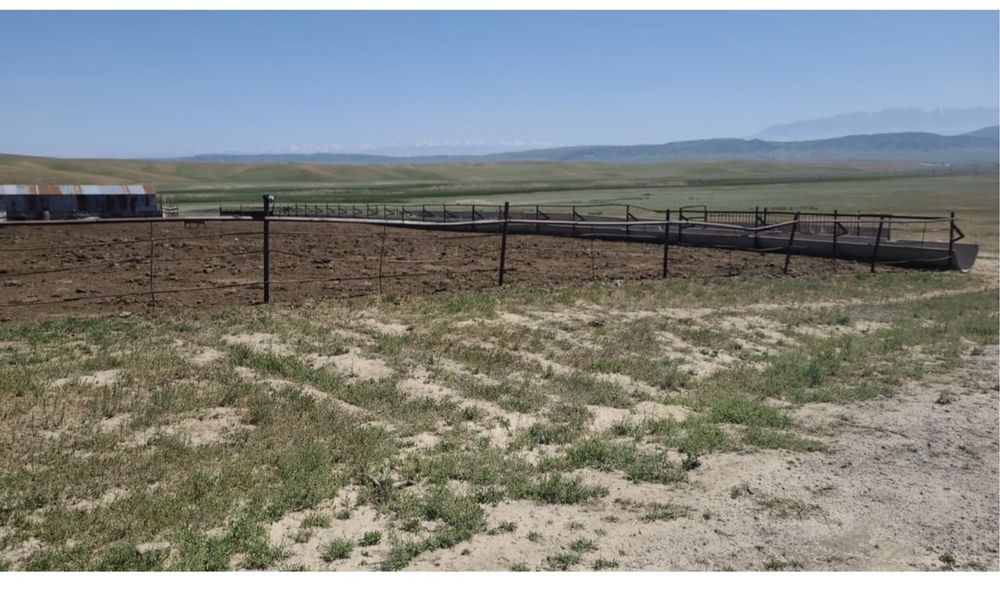 Фазенда крестянское хозяйство кашар