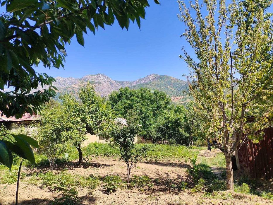 Срочно !!! Продается отличный участок для дачи