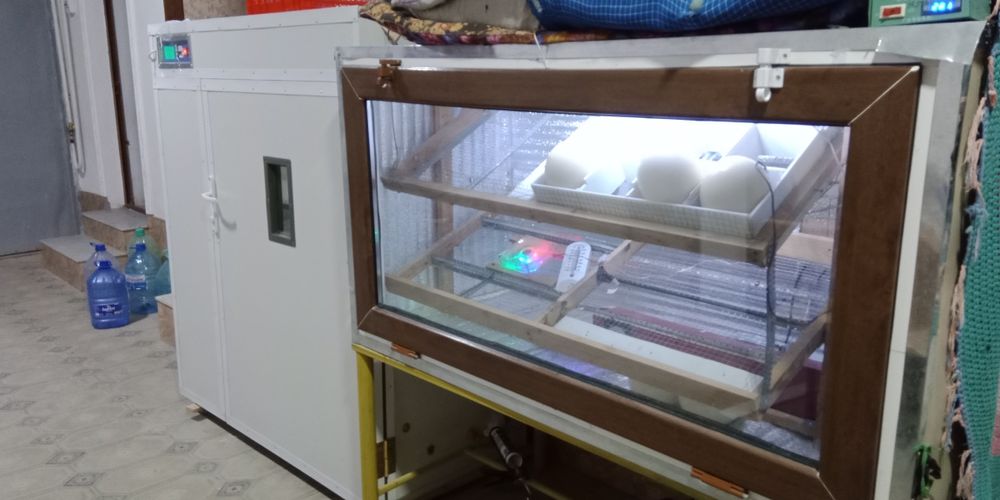 Продам Инкубатор 1056 талик