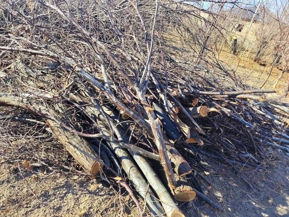 отын сатылады !!!