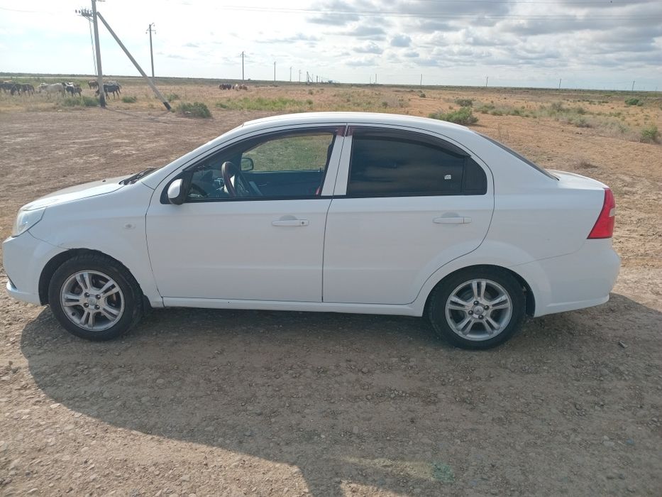 Равон р3 2025год