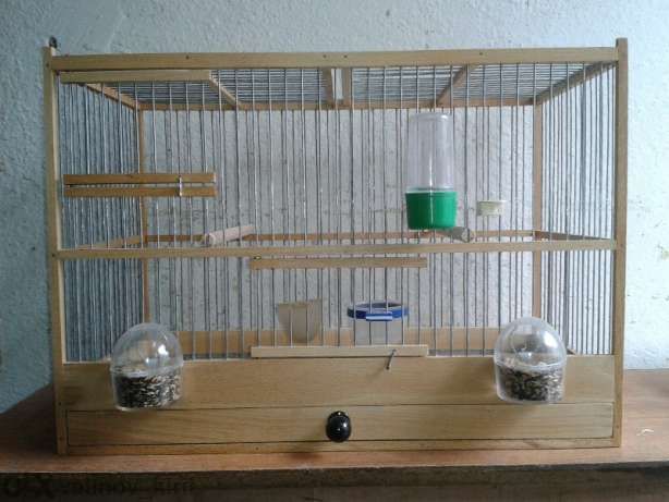 Дървени клетки и капани за птици