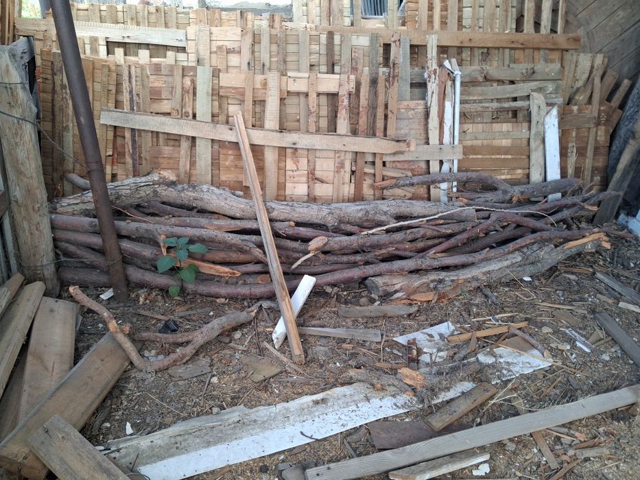 1 газель дрова в Кенгире