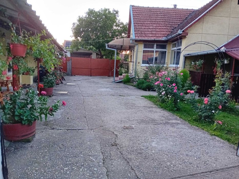 Casa de vanzare in Vetel