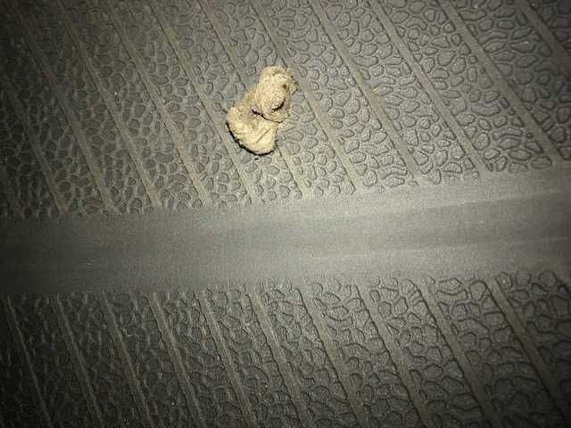 Зимни гуми Goldline glw1 225/60 R17 99H