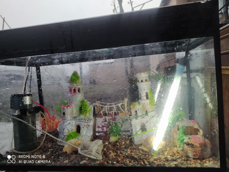 Аквариум. В хорошем. Состоянии она красивой хотим продать срочно   всю
