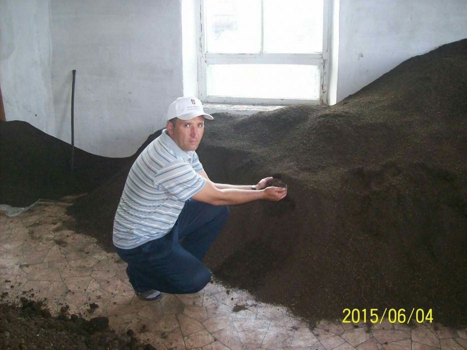 Продам червей Старатель