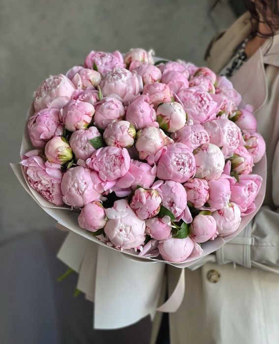 Пионы Розы оптом и в розницу