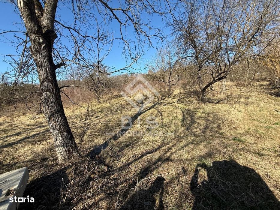 Teren 3341 mp Valea Budacului