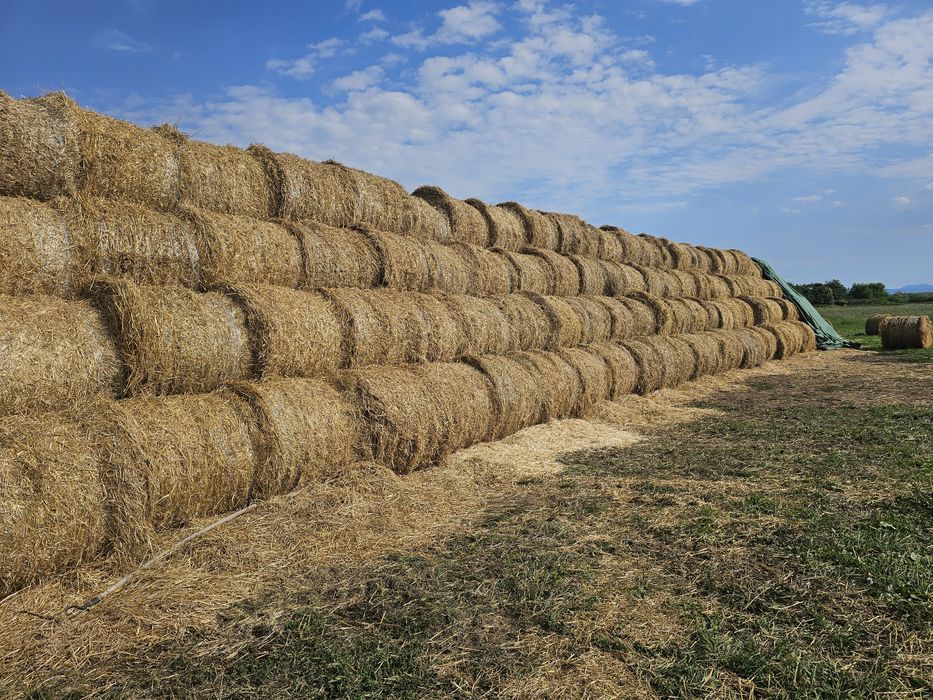 Vând Balot de Paie Orz Garu si ovaz calitate 1 2025