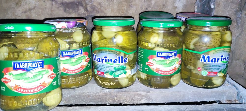 Соленья 2024 года