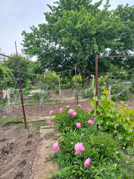 Продаётся дачный участок