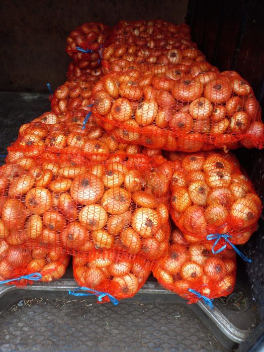 Vand ceapa galbena plata romaneasca !