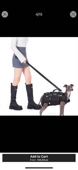 Rucsac+ham+ lesa,pentru catei!!Marimea L,dar este pentru un M.