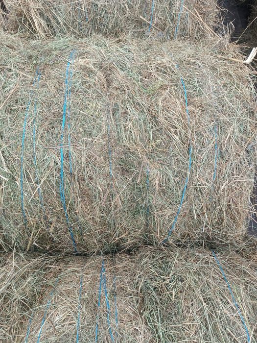 Продам сено, разнотравье.