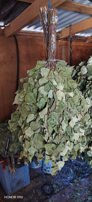 Продам веники берёза