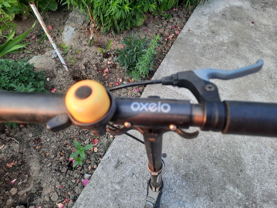 Trotineta penru copii