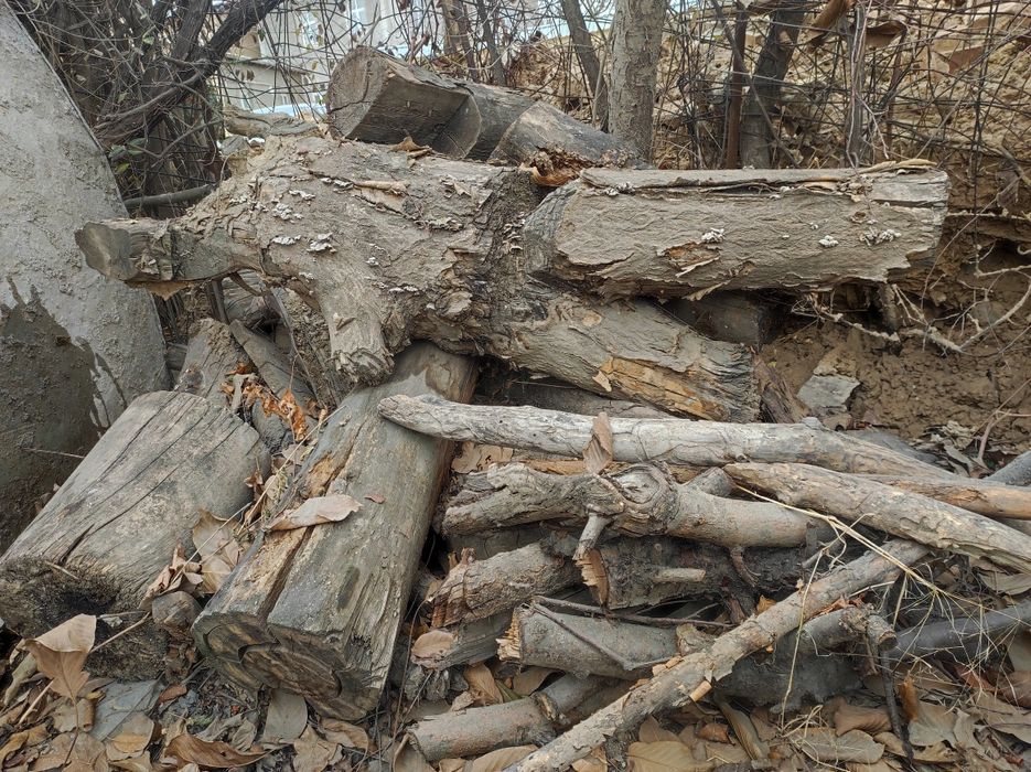 Утин 800.000 сум