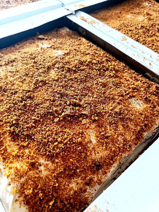 Mazali medovka pirojniy va tortlar