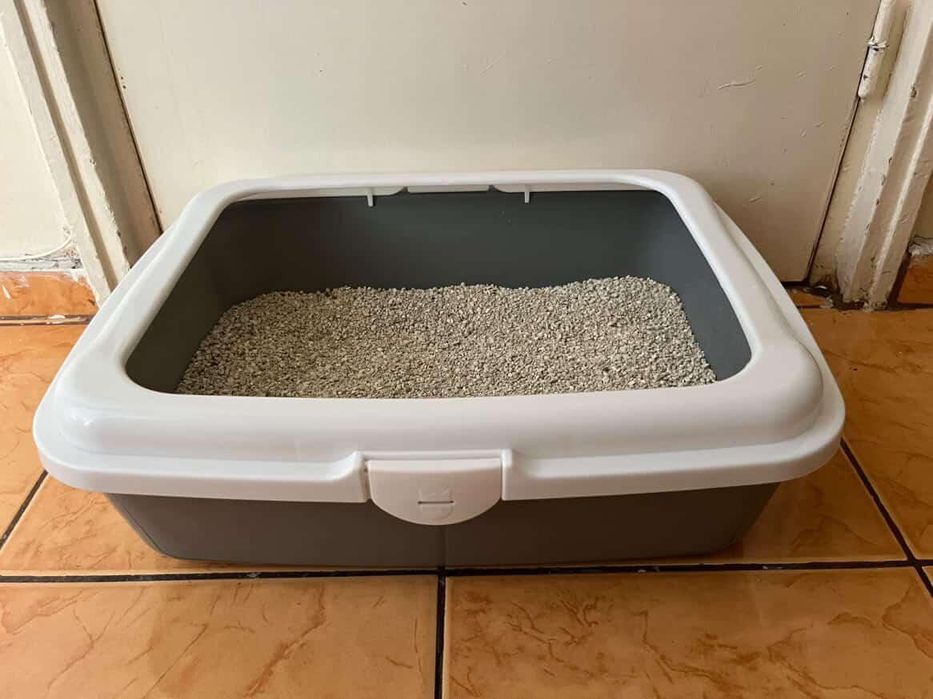 Set complet pentru pisica/pisic  junior