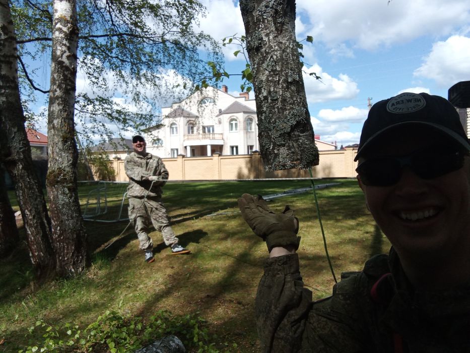 Спилить дерево , обрезка