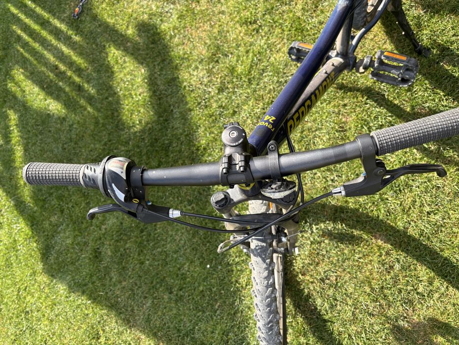 Bicicleta Copii Bergamont 24”