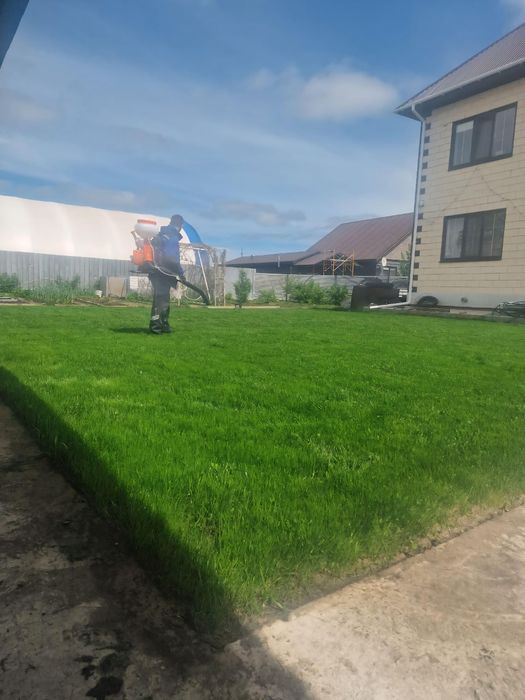 Газон рулонный посевной