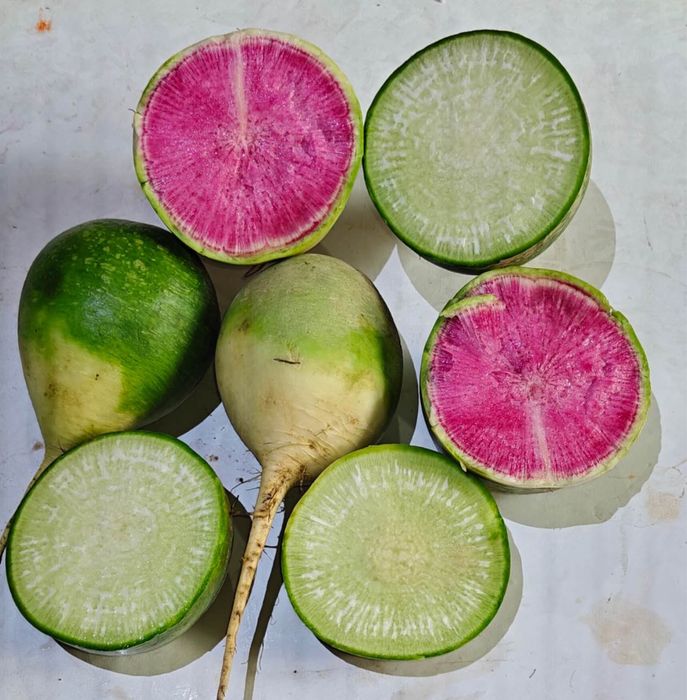 Овощи, выращенные в поле.