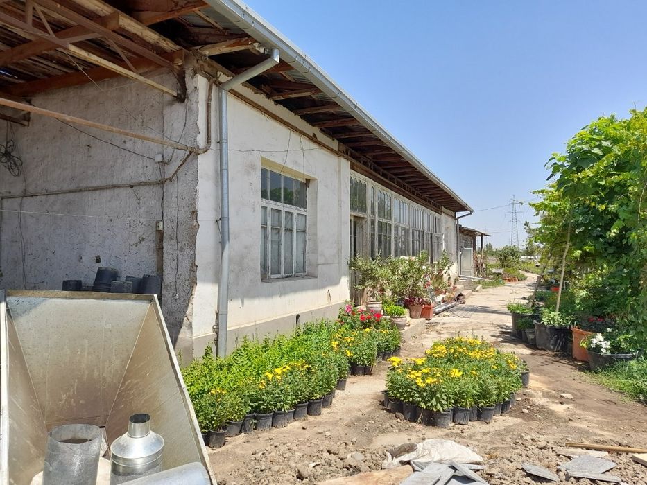 Продам дом участок в Сергели Ханабад